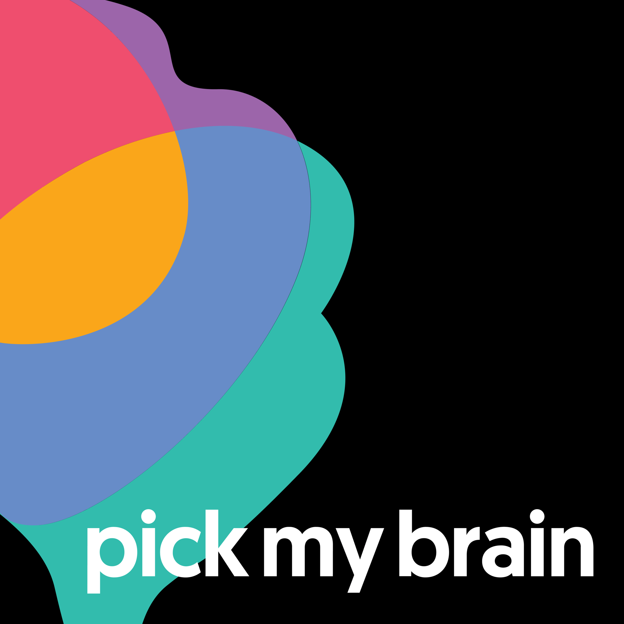 Pick My Brain cover